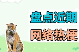 盘点近期网络热梗：一整只老虎、吃鸡手势舞视频封面
