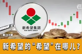 总债务近千亿，新希望的“希望”在哪儿？视频封面