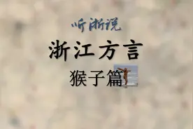 【听浙说】浙江方言中都如何叫“猴子”