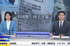新变化 买羽绒服要看“绒子含量”视频封面
