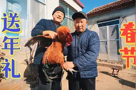 买一只黑山羊，山东小伙去岳父家送年礼，岳母炒鸡炖肉，年味十足视频封面