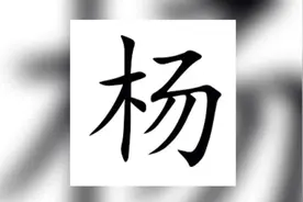 百家姓（16）：杨姓视频封面