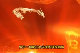 1976年的属龙人，49岁的你，视频封面