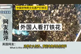 外国人看打铁花，德国网友：心疼在里面工作的人视频封面