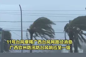 11号台风摩羯广西台风网路径消息 广西钦州防汛防台风响应至一级