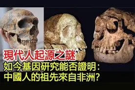 基因研究揭秘现代人起源：中国人祖先真的来自非洲吗？？视频封面