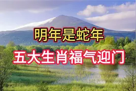 明年是蛇年，五大生肖福气迎门，未来七年福气满满视频封面