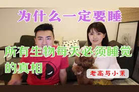 真相！为什么一定要睡？所有生物每天必须睡觉的真相  老高与小茉视频封面