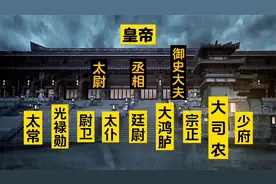 西汉官职制度，三公九卿制视频封面