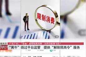广东广州：“老赖”被限制高消费 为何仍能乘飞机？视频封面
