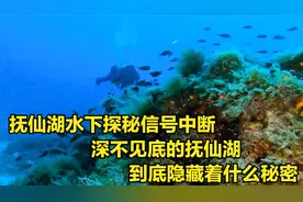 抚仙湖水下探秘信号中断，深不见底的抚仙湖，到底隐藏着什么秘密视频封面