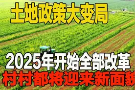 土地政策大变局，2025年开始全部这样改革，村村都将迎来新面貌视频封面