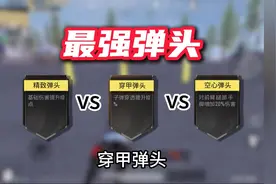 实测精制，穿甲，空心弹头谁伤害最高？居然我们都用错了！