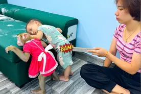 妈妈睡觉了，搞点恶作剧？