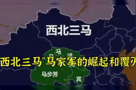 “西北三马”马家军的崛起和覆灭视频封面