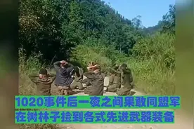1020事件后，一夜之间果敢同盟军在树林子捡到各式先进武器装备视频封面