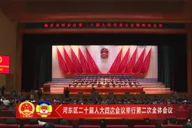 河东区二十届人大四次会议举行第二次全体会议视频封面