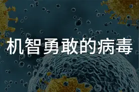 机智勇敢的病毒