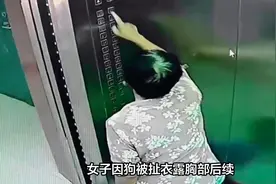 闹大了！女子因狗被扯衣露胸部后续：无法忍受侮辱，吞安眠药自杀视频封面
