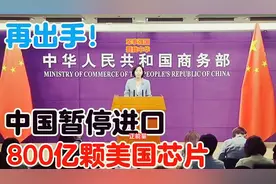 再出手！中国暂停进口800亿颗美国芯片！视频封面