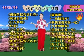 20首火爆流行DJ《想你的话告诉月亮》《疯狂爱爱爱》《嘟嘟嘟》
