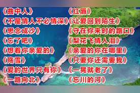 16首2023流行好歌<曲中人><不是情人不必情深><思念成沙><殇雪>