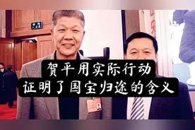 贺平用实际行动证明了国宝归途的含义视频封面