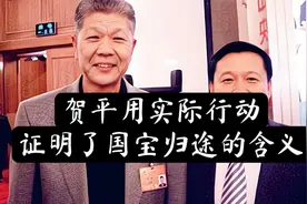 贺平用实际行动证明了国宝归途的含义视频封面
