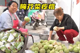 老爸买回来50多斤芥菜，老妈用传统方法腌芥菜疙瘩，放一年都不坏