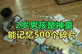 2岁男孩是记忆大师，能记住500多个碎片