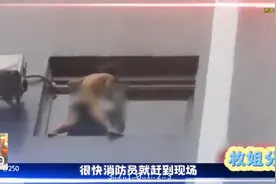 22岁女孩一丝不挂。站在30多米高的高空，消防员不顾安危营救女孩视频封面