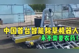 中国首台智能除草机器人，永不需要农药！何时推广减轻农民负担？视频封面
