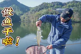 老曹钓翘嘴做鱼干，准备回家过元旦，钓友们有没有做鱼干的诀窍啊