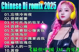最新最火DJ抖音版2025-DJ REMIX 舞曲-最好的音樂