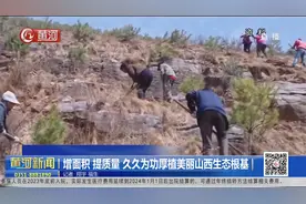 增面积 提质量 久久为功厚植美丽山西生态根基视频封面