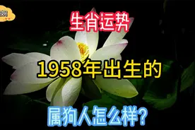 生肖运势，1958年出生的属狗人怎么样？视频封面
