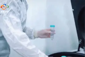 2024李时珍中医药大会在汉举行视频封面