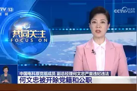 “靠军工吃军工” 中国电科原副总经理何文忠被双开视频封面