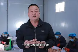 王益区黄堡镇孟姜塬村党委书记、村委会主任王晓梦为当地柿饼代言视频封面