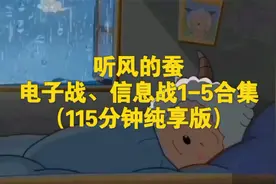 听风的蚕：电子战、信息战1-5合集（115分钟助眠版）视频封面
