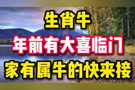 生肖牛年前有大喜临门,家有属牛的快来接,干万别错过了!视频封面