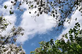 北京大风蓝色预警中，今天阵风六七级，最高气温2℃视频封面
