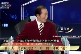 张玉杰：高质量共建“一带一路”体现“通”视频封面