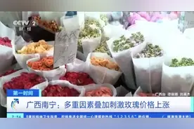 涨了1倍多？今年玫瑰价格有些任性（央视网）视频封面