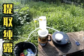 冬子在家尝试用艾草提取纯露,做苦艾酒视频封面