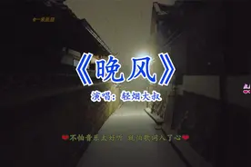 轻烟大叔-用独特烟嗓翻唱《晚风》唱出爱情的无奈与释怀