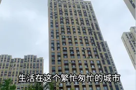 欠房贷65万，12楼跳下，中年人买房是最大的悲哀！视频封面