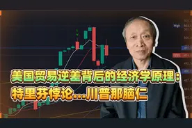美国贸易逆差背后的经济学原理：特里芬悖论…川普那脑仁视频封面
