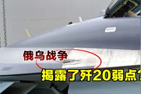 俄乌战争中，苏30战机机炮发威，揭露了歼20的一大弱点？视频封面