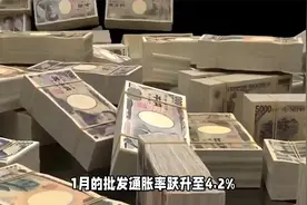 通胀和关税压力叠加，日本经济增长前景增添新忧视频封面